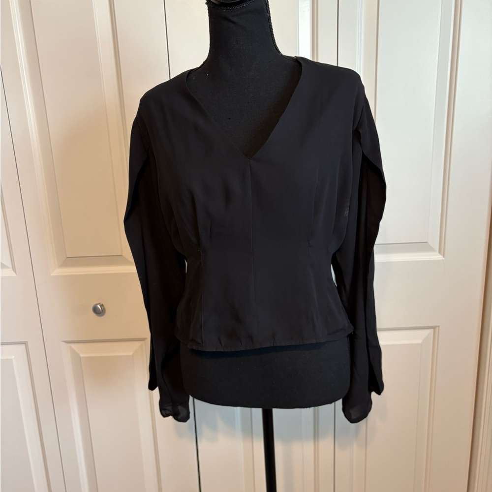 Black Fitted Long Sleeve Blouse